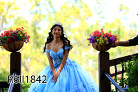 R6II1842 copy