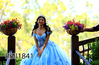 R6II1841 copy